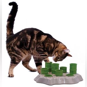 🇨🇦 Interactive Cat Food Activity Center